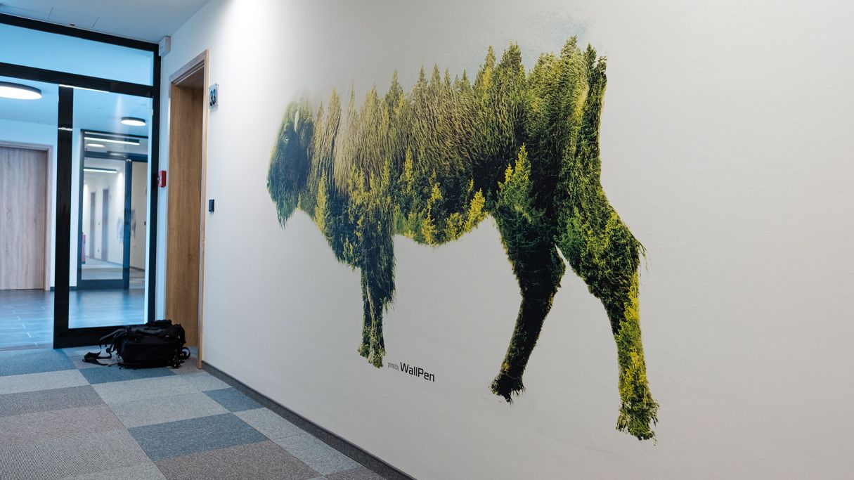WallPen Wanddruck Pferd - Hochauflösender Direktdruck auf Wand Wanddruck Pferd Naturmotiv fotorealistisch auf Wand gedruckt Schweiz